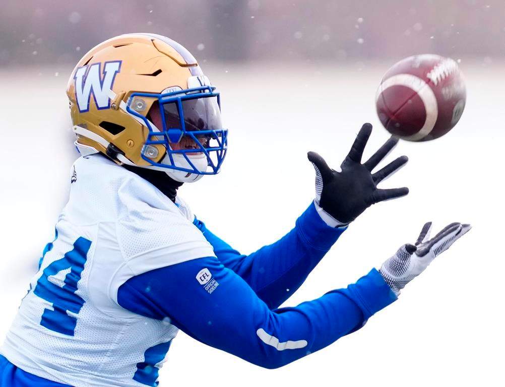 Winnipeg hosting the Grey Cup in 2025 could mean big business for the city's hospitality sector, according to an expert. .