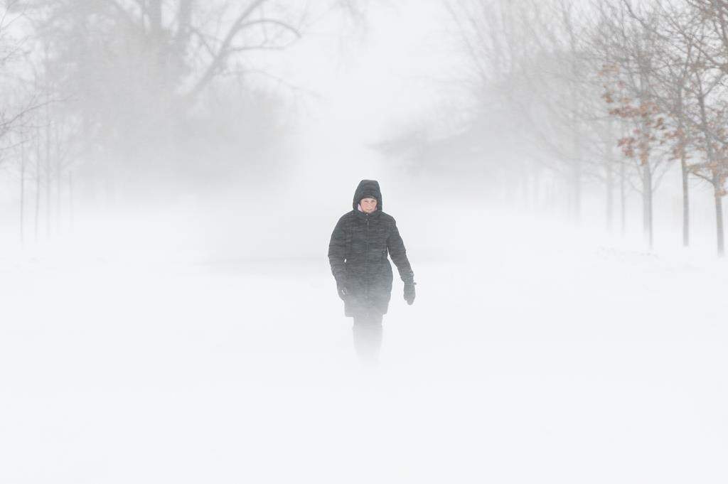 A person walks through the Central Experimental Farm during strong winds and snow squalls in Ottawa, Saturday, Dec. 24, 2022. THE CANADIAN PRESS/Spencer Colby.