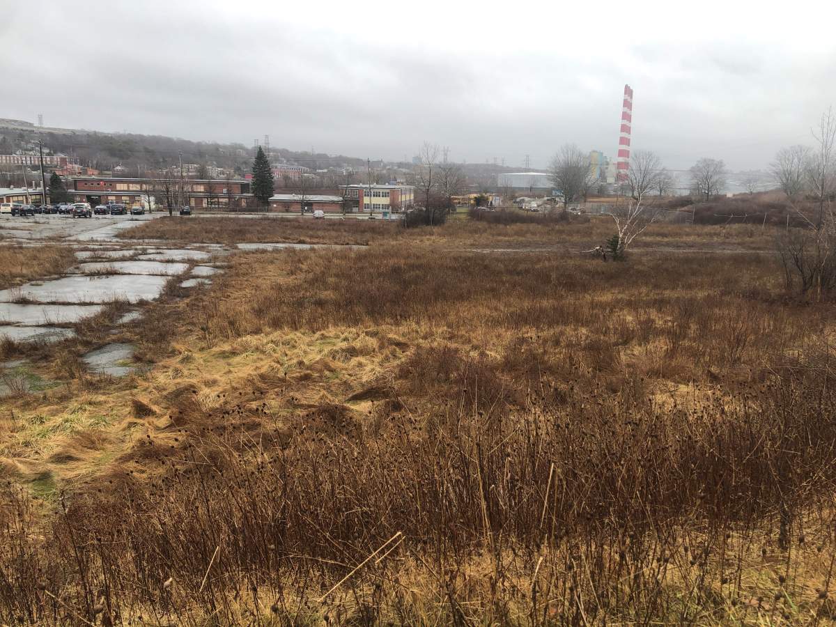 A Canada Lands Company spokesperson says if the plan is approved, housing should be ready for people to move in within five years.
