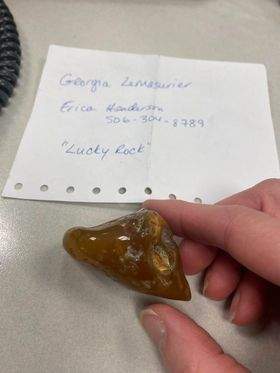 Henderson received this photo from an Air Canada employee who followed up on their lost item report.