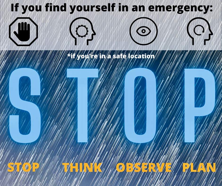 Lost in the woods? Stay put and call 911, says B.C. Search and Rescue - image