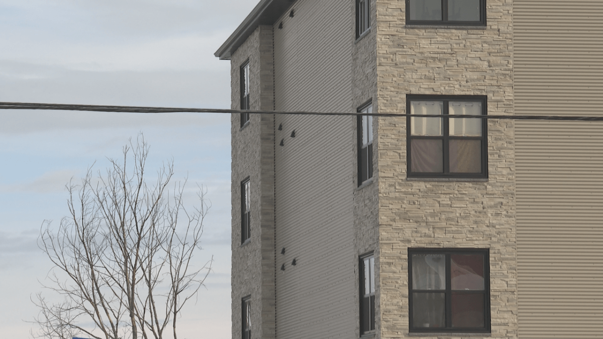 The NB Coalition for Tenants Rights said it feels the city’s policies are moving in the right direction, but more urgency is needed.