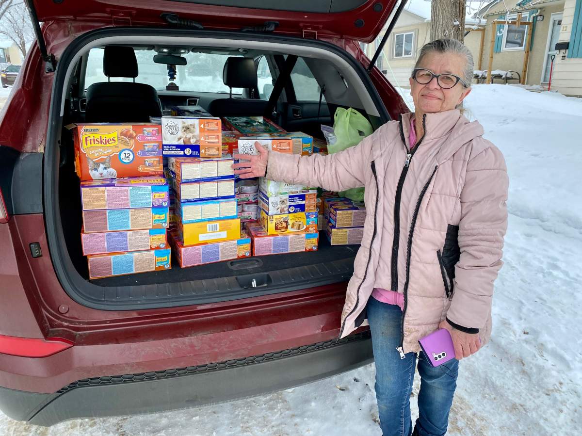 Regina woman donates over 1,300 cans of cat food to local humane society - image