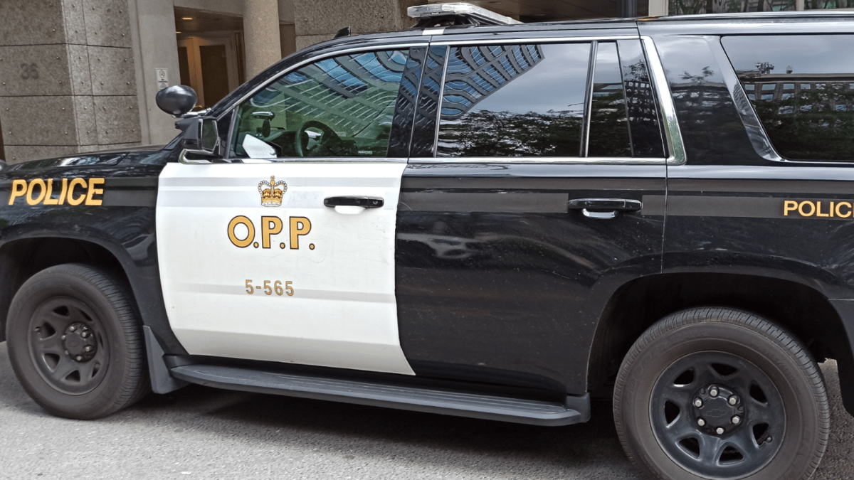 OPP have charged two Lanark County, Ont., men on assault, forcible confinement and other charges.