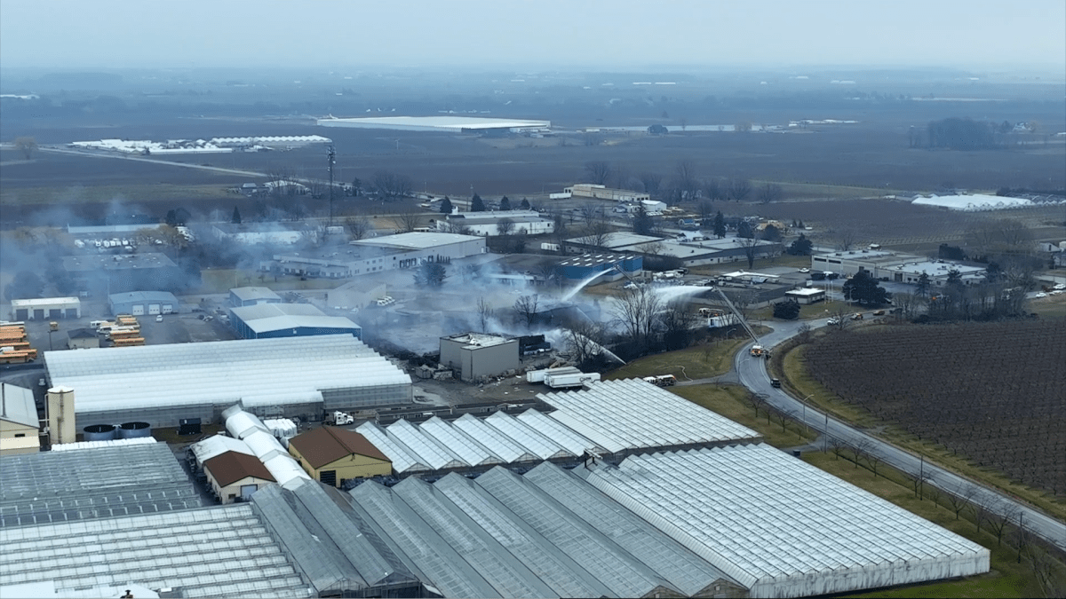 Firefighters battle industrial blaze in St. Catharines, nearby homes and businesses evacuated - image
