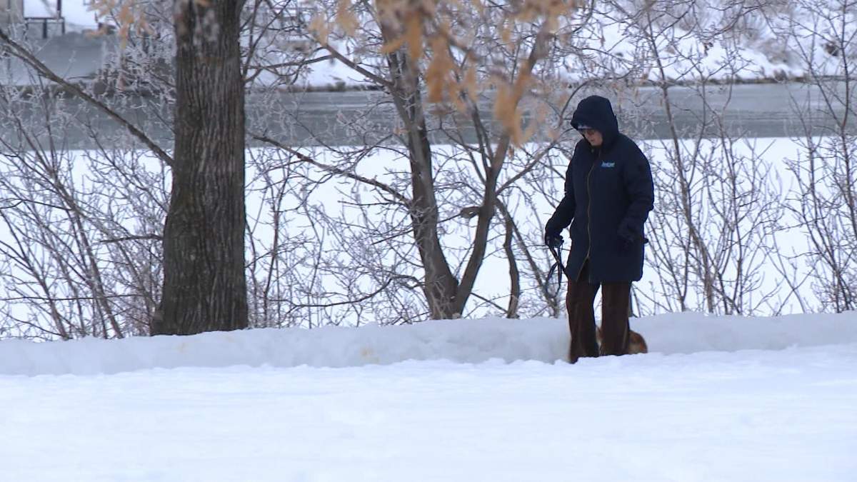 Even with temperatures rising into the single digits, this Blue Monday still feels incredibly gloomy because of the fog and clouds hanging over Saskatoon. Luckily, there are ways to fight it.
