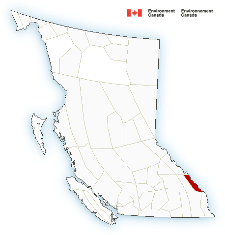 Environment Canada issue cold weather alert for Elk Valley and Yoho Park.
