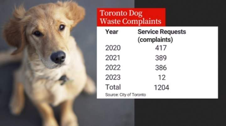 ‘There is so much poop’: Some Torontonians noticing increase in dog waste at local parks - image
