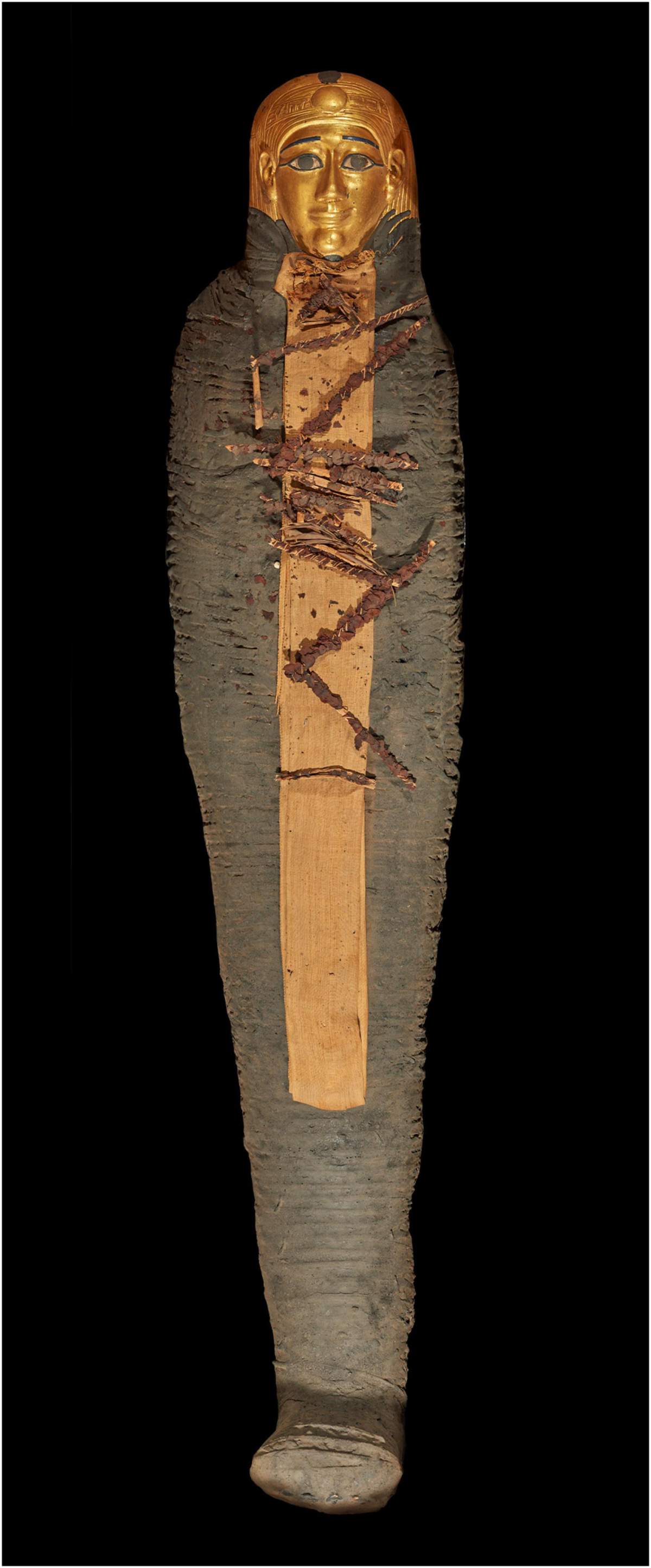 The mummy wears a gilded head mask, and the body is fully covered by brown-colored wrapping. Dried ferns are placed on a light beige rectangular linen on the front surface of the body.