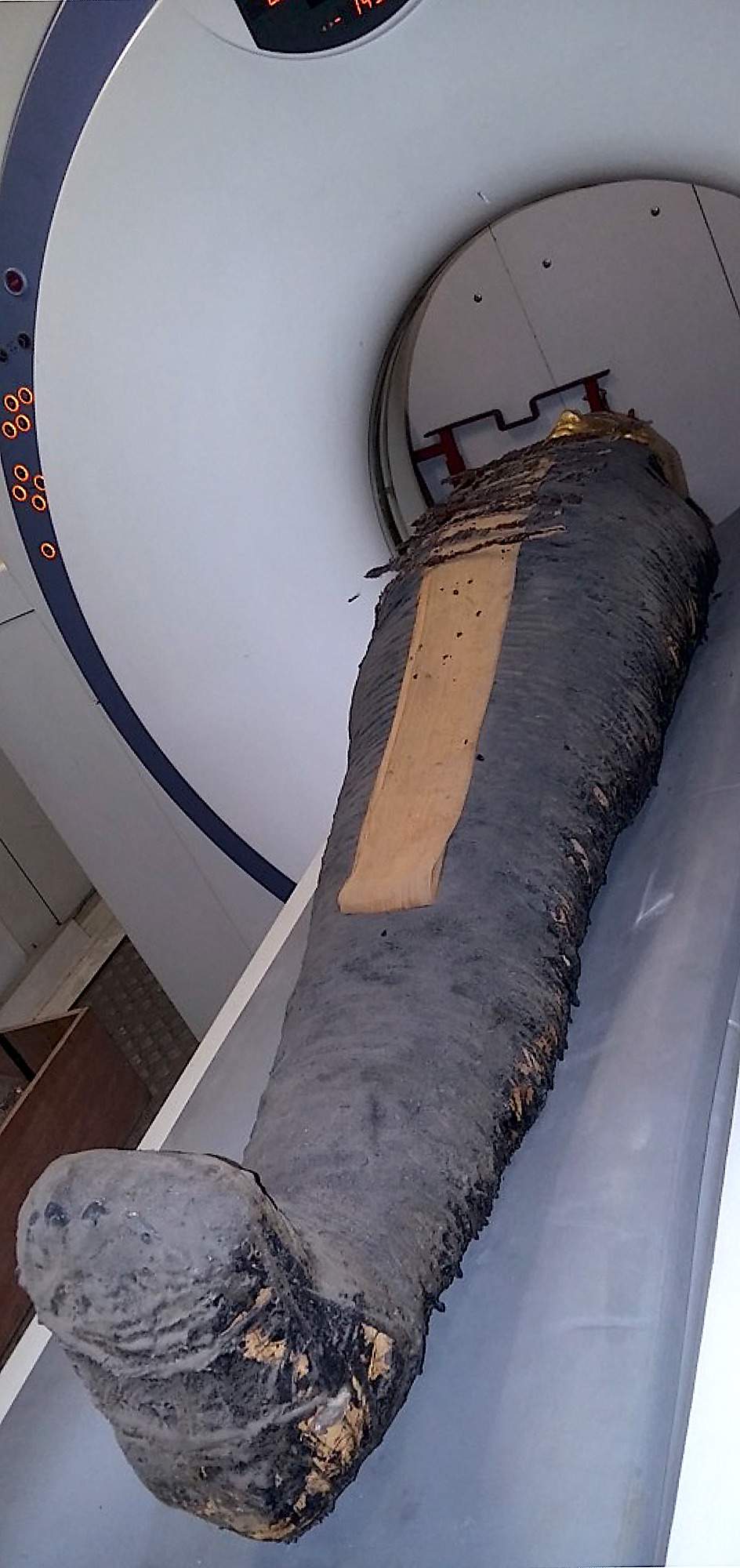 "Golden Boy" is placed into the CT scanning machine.