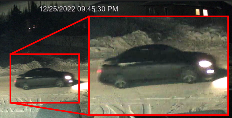 Edmonton police are interested in speaking to the person who drove by shortly after the suspect disposed of the dog in the snow.