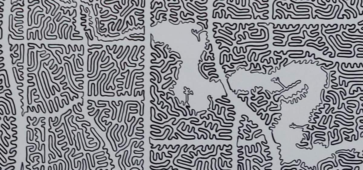One line details are on display on Regina’s Albert Street and Wascana Lake.