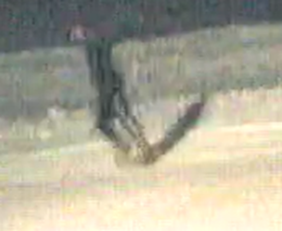 A person police believe to be wearing a dark colored hoodie and dark pants with a white stripe down the side. The person is dragging a motionless dog down the sidewalk of 36A Avenue at 28A Street.
