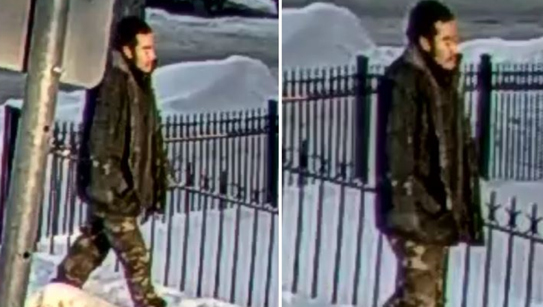 Winnipeg police have arrested a suspect in an attempted sexual assault.