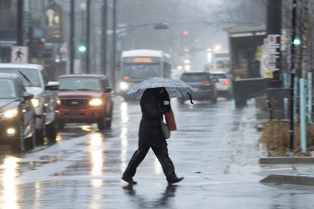 A watershed-wide snow survey conducted Wednesday by UTRCA measured an average of 70 mm of water in London and Woodstock, and 100 mm north of Stratford.
