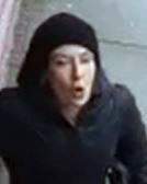 Police seek woman wanted after robbery reported in Toronto - image