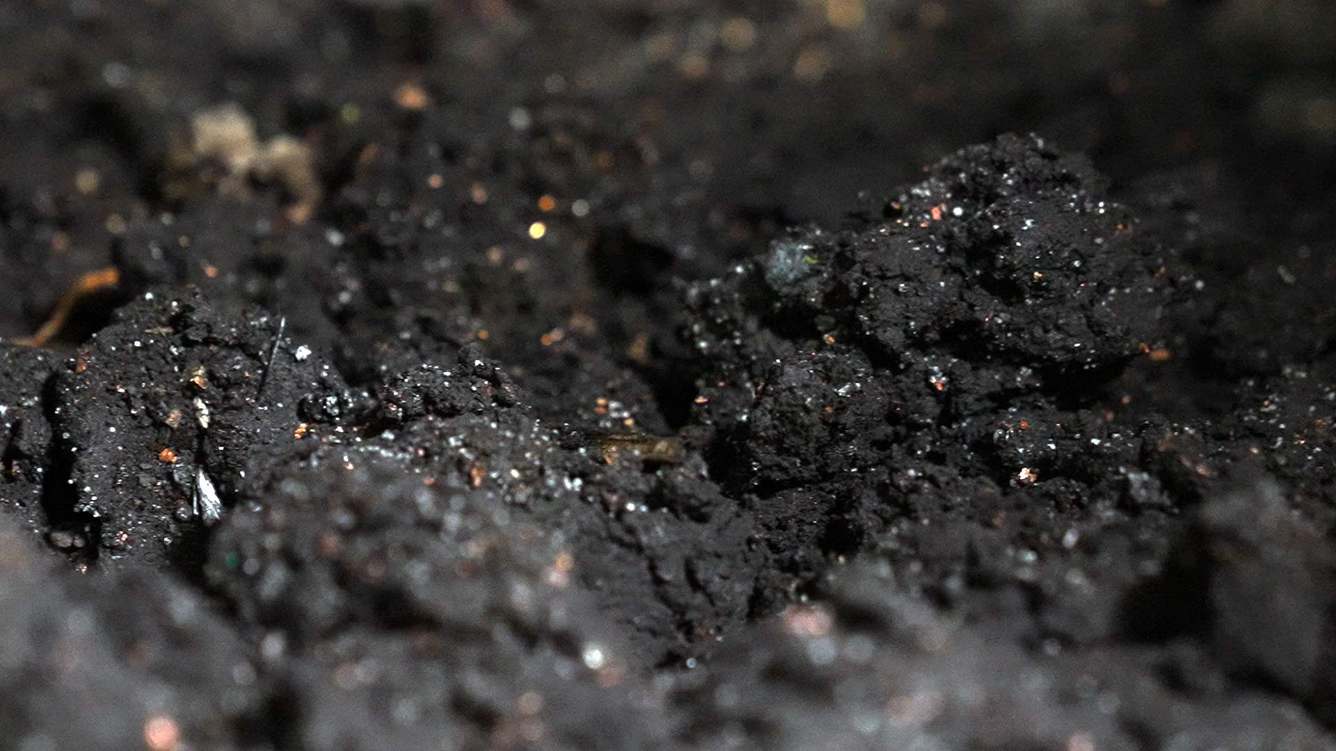 Black mass at Li-Cycle's Kingston plant.
