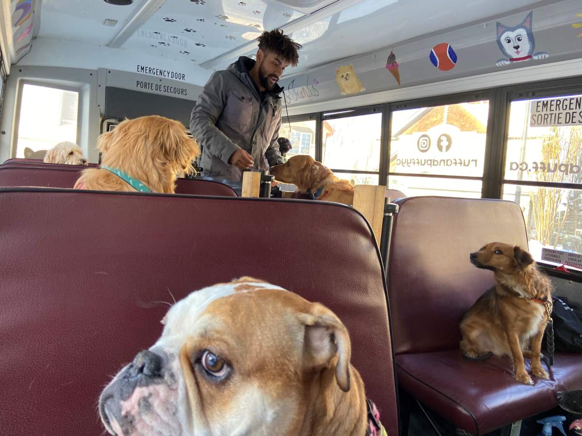 Morrison keeps the canines content with treats and lots of love.