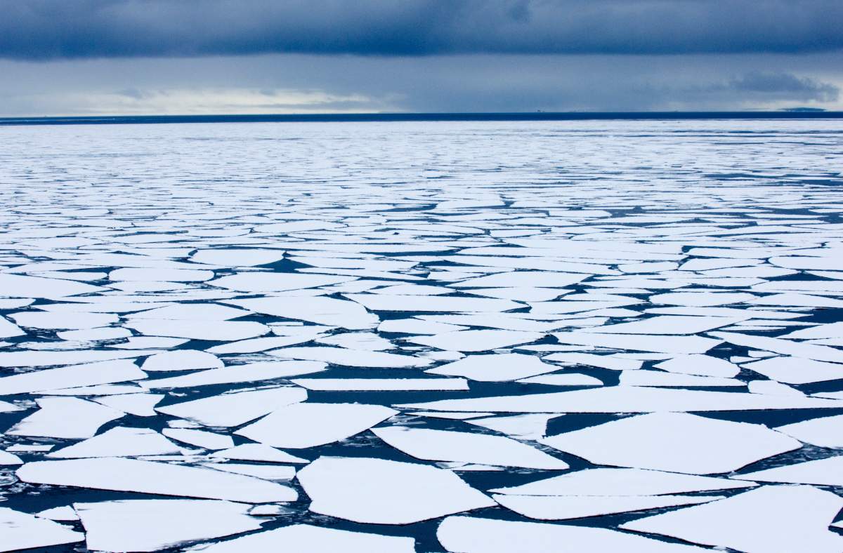 Broken sea ice.