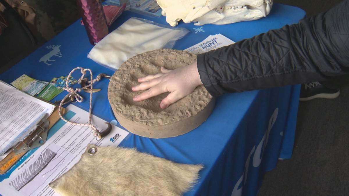 International Polar Bear activities at Assiniboine Park Zoo