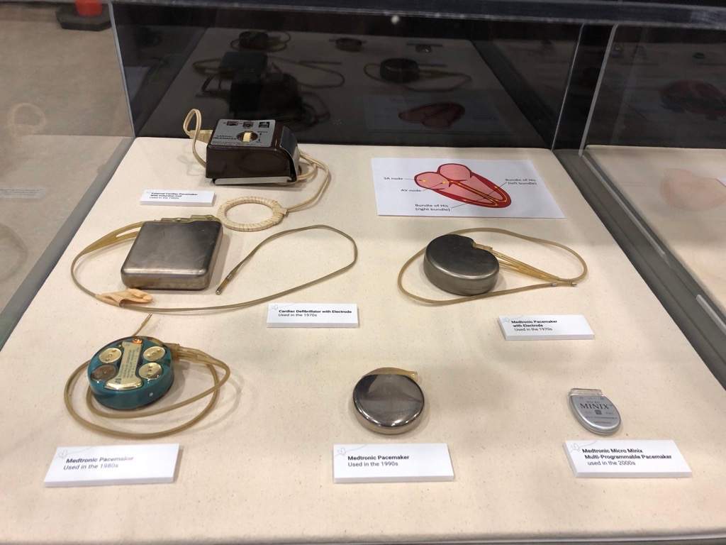 The "How to Mend a Broken Heart" display at the Museum of Natural History.