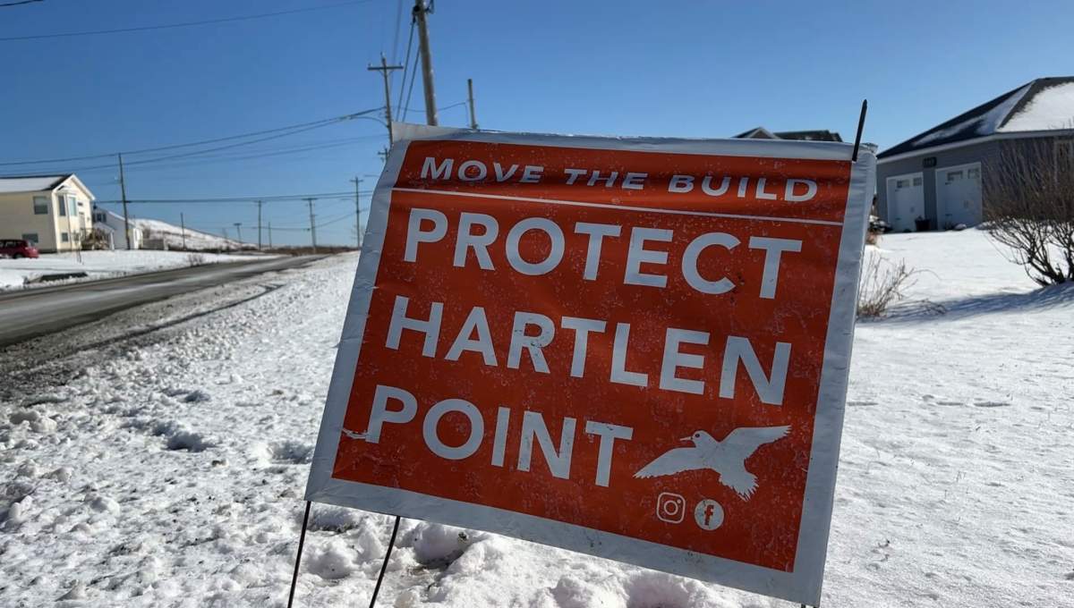 Orange ‘Move the Build Protect Hartlen Point’ signs have been popping up around the city for months.