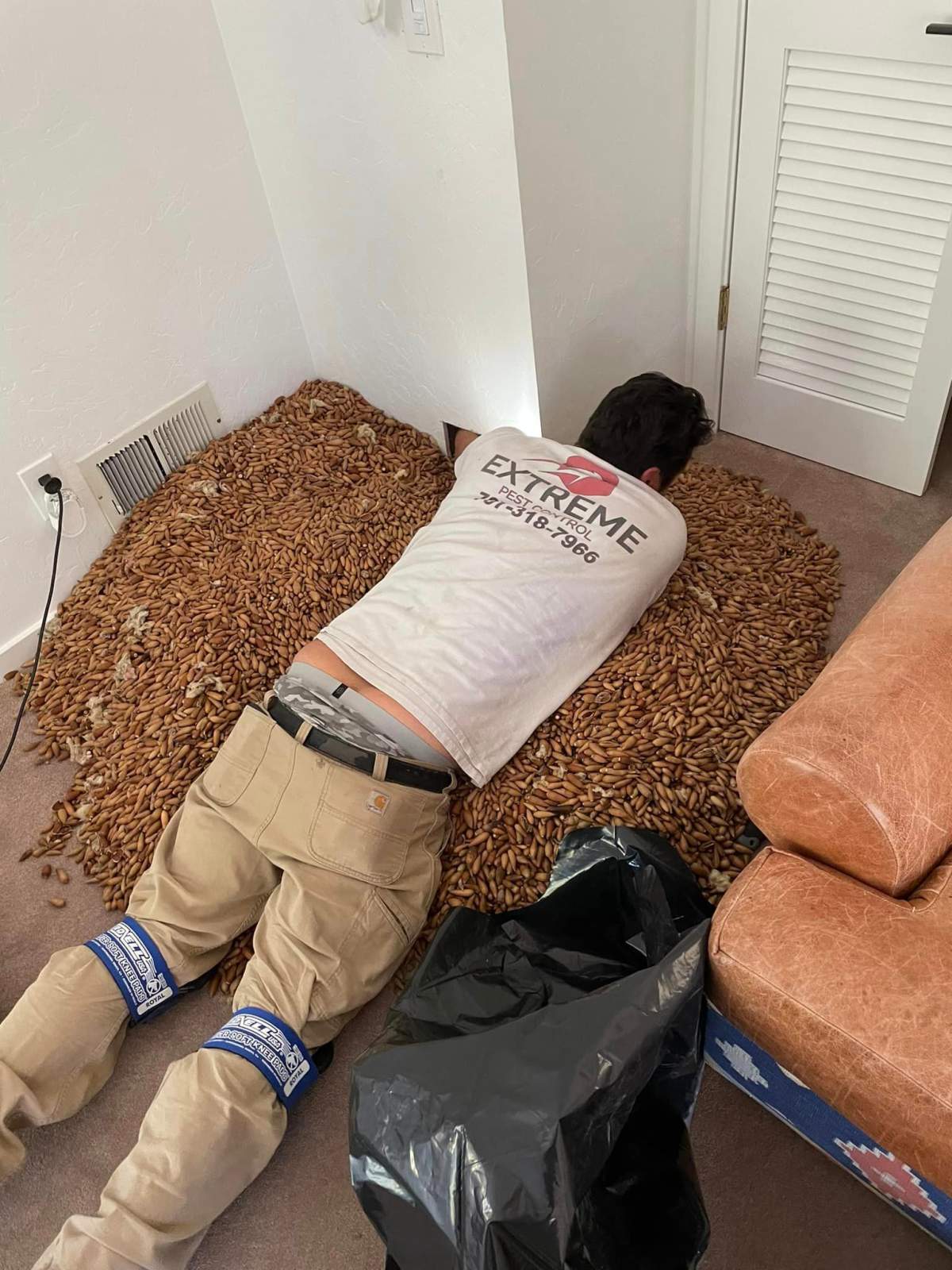 Nick Castor leaning over a pile of acrons.
