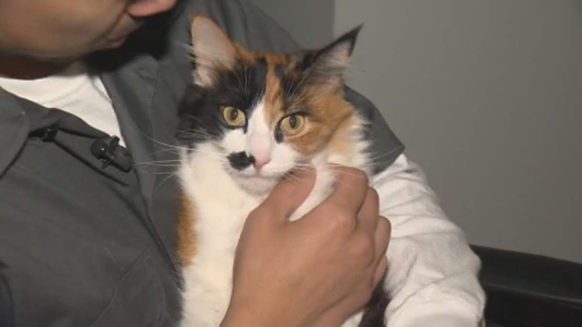 Marley has been returned home safe and sound.