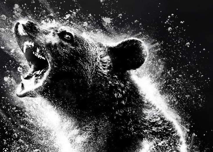 The poster for 'Cocaine Bear.'