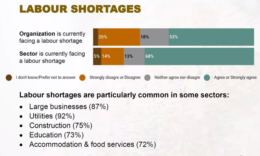 A snapshot of responses from Ontario Chamber of Commerce (OCC) members when asked in late 2022 if they were experiencing labour shortages.