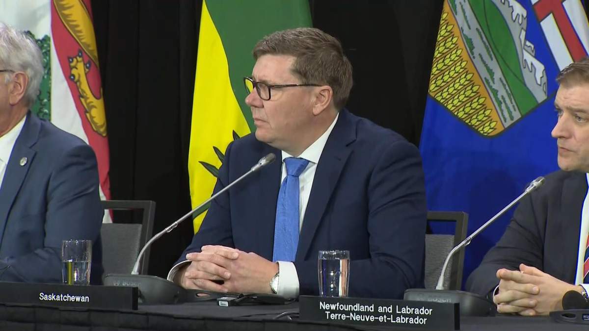 All 13 of Canada's premiers were in Ottawa on Tuesday to discuss more funding for health care with the Prime Minister.