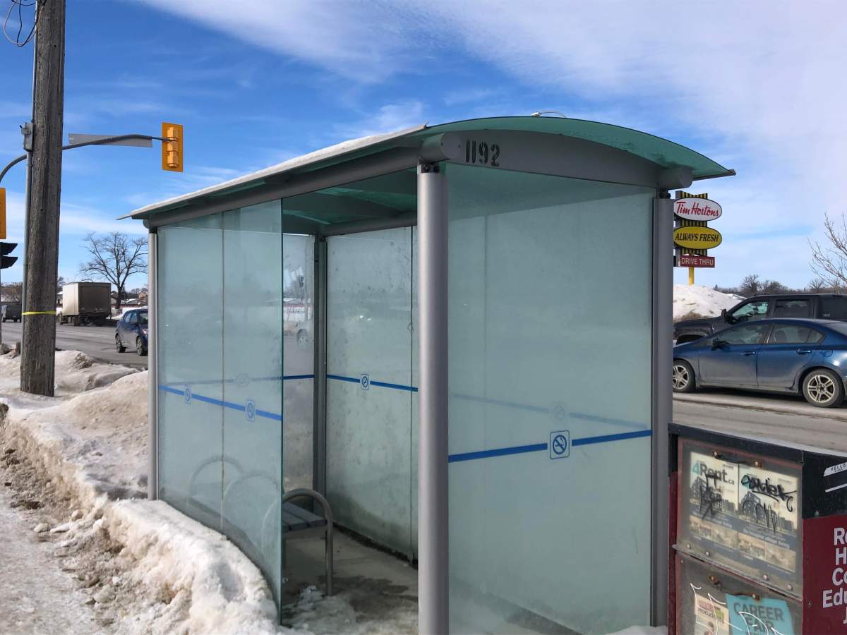 A bus shelter at the intersection of Mount Royal Road and Ness Avenue.