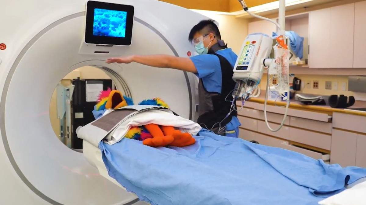 Magrau the puppet gets a CT scan.