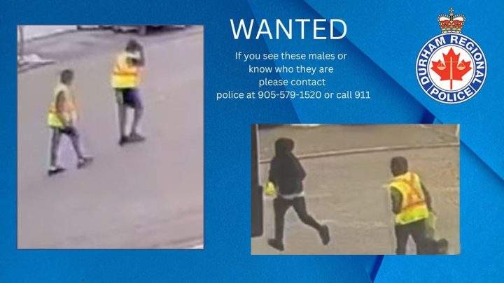 Victim pistol-whipped during ‘violent’ Pickering home invasion, suspects outstanding - image