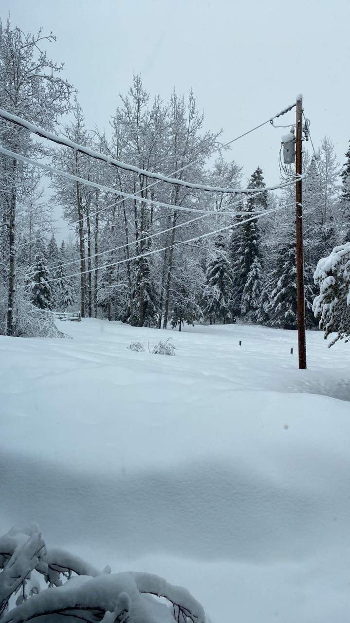 Snowfall in the Dease Lake area in only three days.