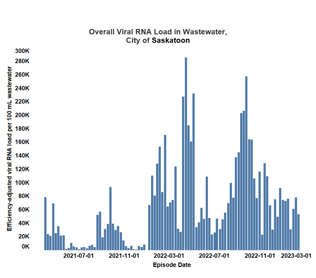 Overall viral load found in the wastewater in Saskatoon.