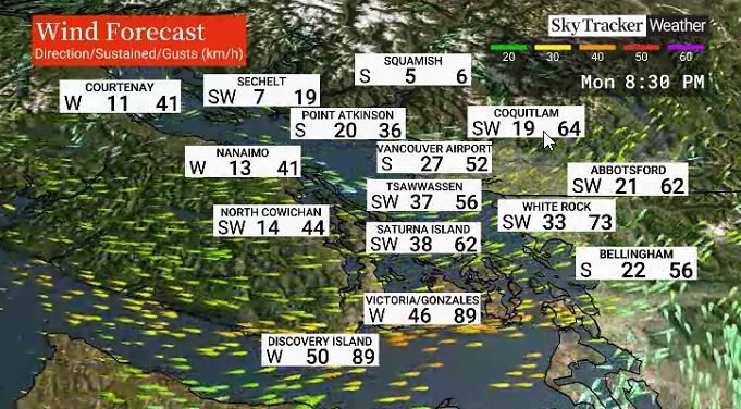 Heavy rainfall, winter storm warning in effect for parts of B.C. - image