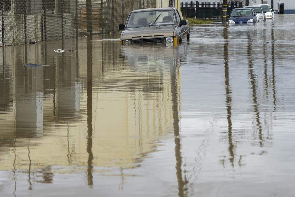Cars are partially submerged in floodwaters in Watsonville, Calif., Saturday, March 11, 2023.