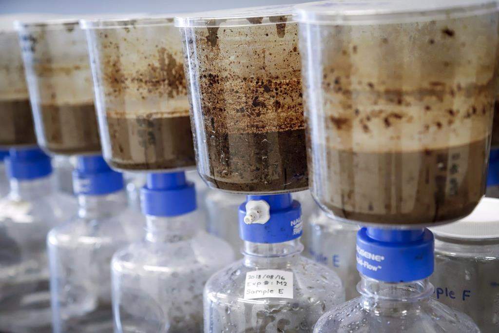 The Alberta Energy Regulator says it will launch an independent investigation into the leak of oilsands tailings from Imperial Oil's Kearl mine. Tailings samples are being tested during a tour of Imperial's oil sands research centre in Calgary, Alta., Tuesday, Aug. 28, 2018.