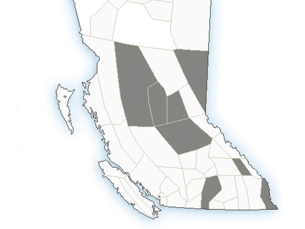 A map showing regions where dust advisories have been issued.