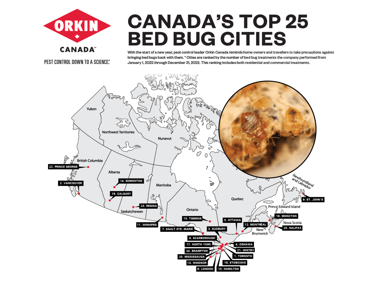 Multiple Ontario cities top list of worst places for bed bugs in Canada - image