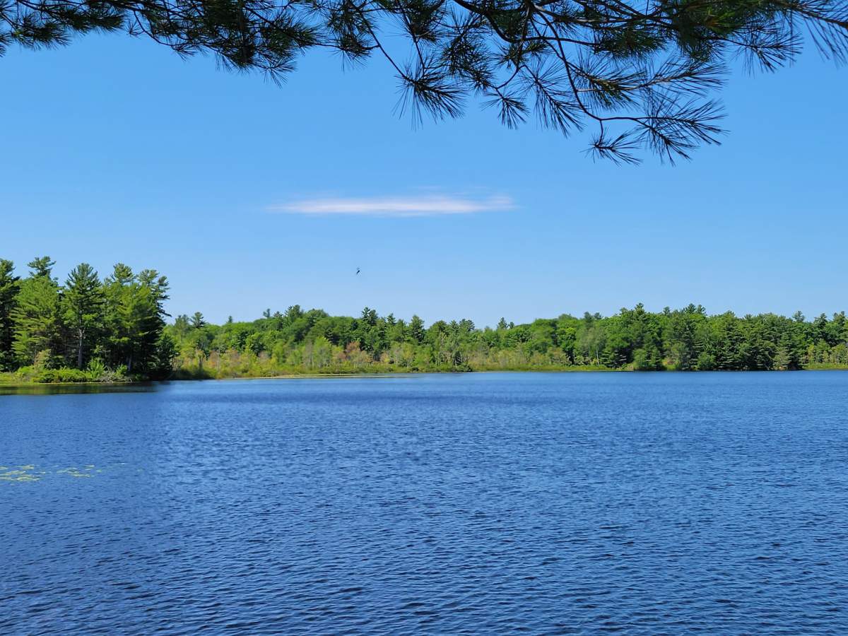 The Nature Conservancy of Canada has announced the acquisition of a 0.4-hectare piece of land near Kingston, Ont.