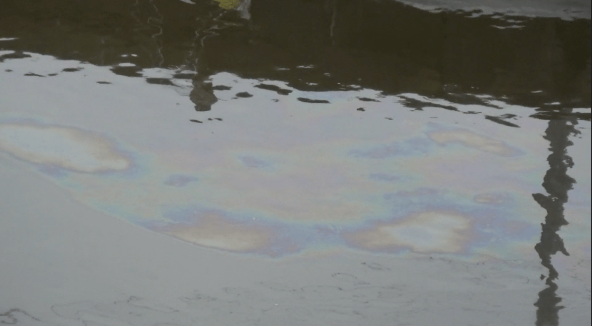 The oily sheen flowing from Jackson Creek into Little Lake on March 16, 2023, in Peterborough, Ont.
