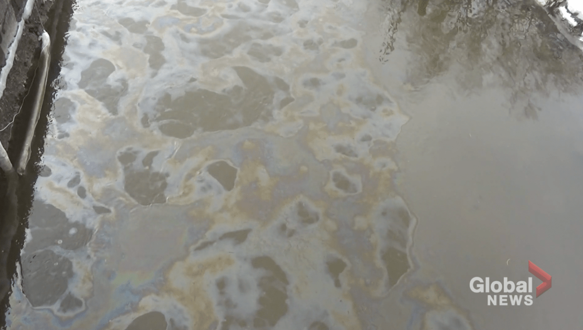 The oily sheen on Jackson Sheen flowing into Little Lake in Peterborough on March 17, 2023.