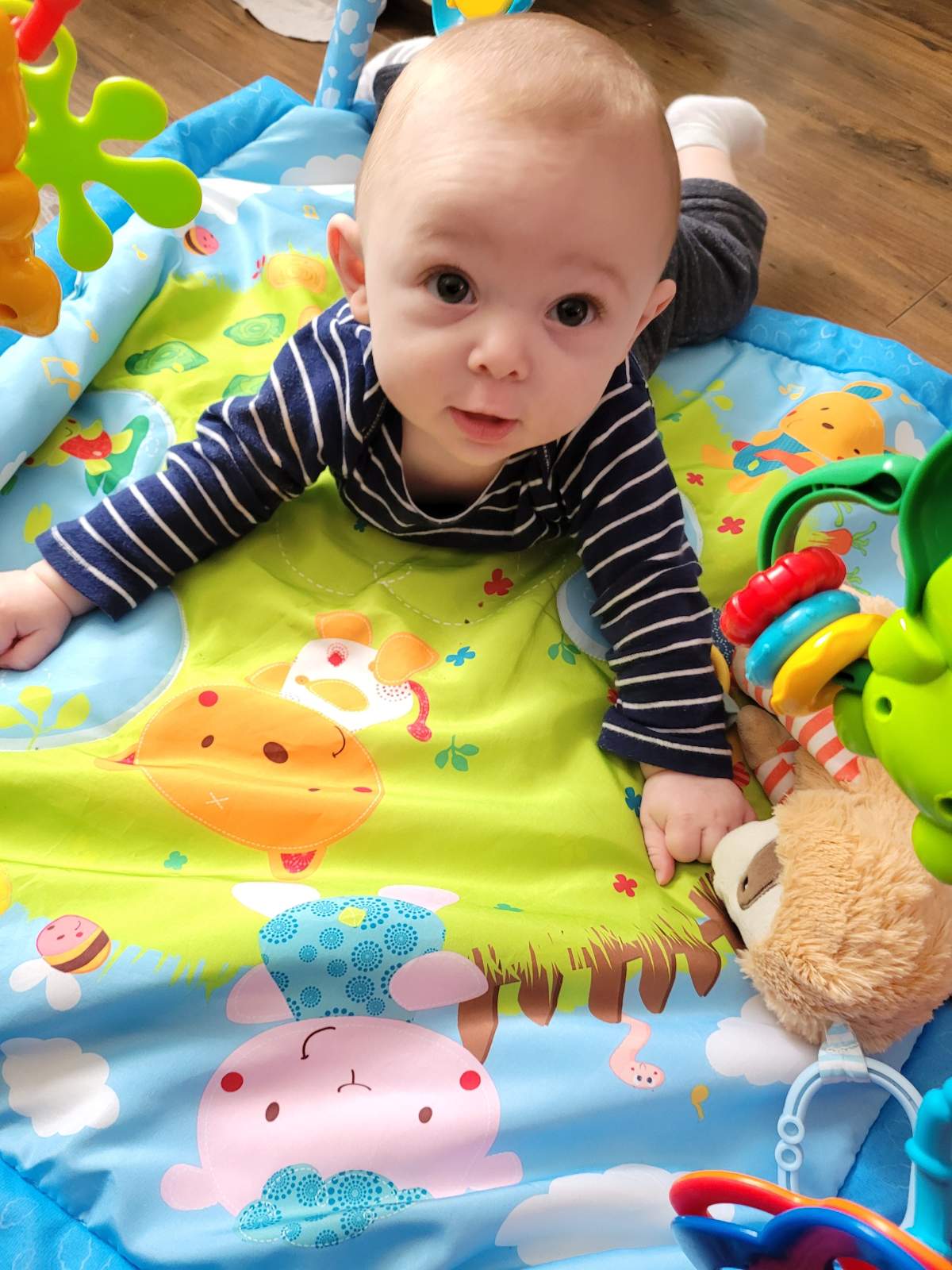 Collins' son Jasper Grue lays on a blanket on the ground.