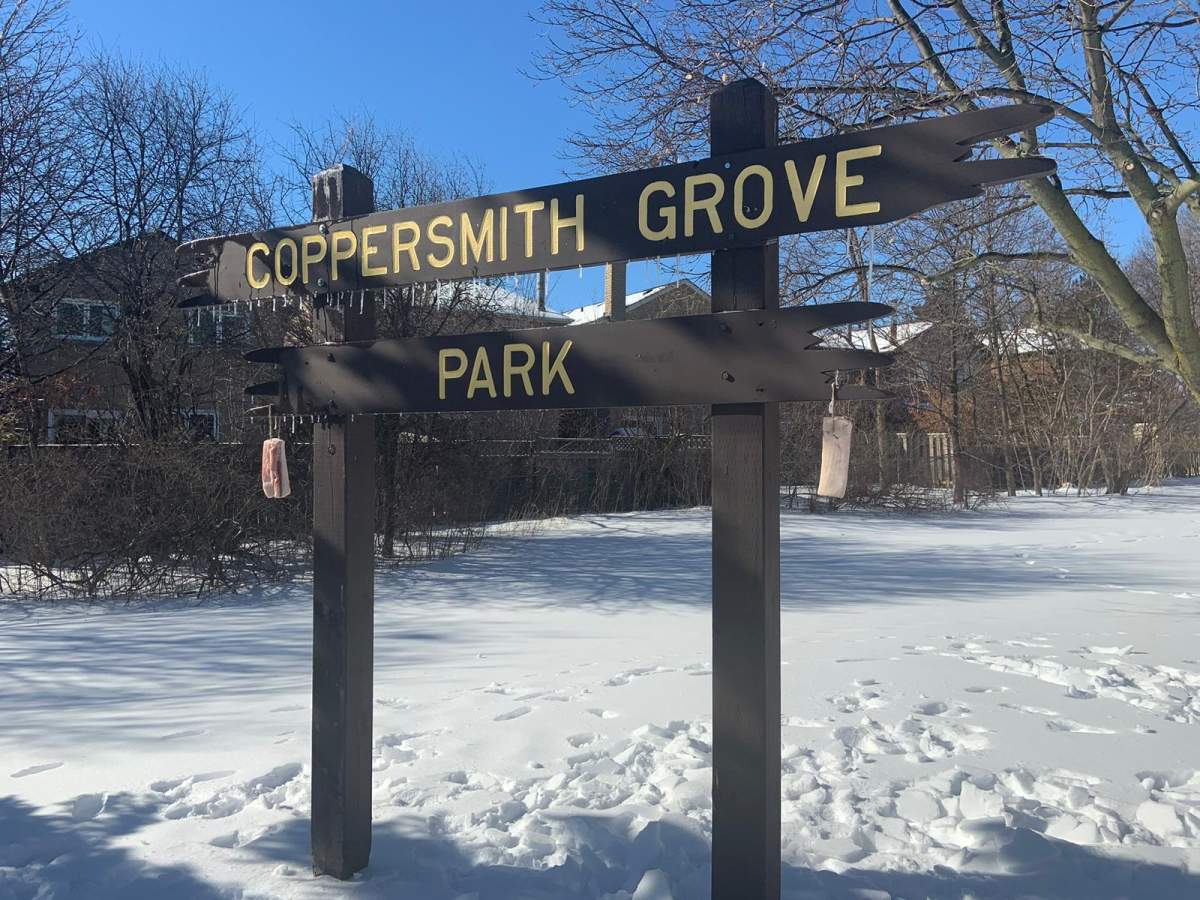 City of Mississauga says piles of meat had been dumped in its parks and greenspaces.