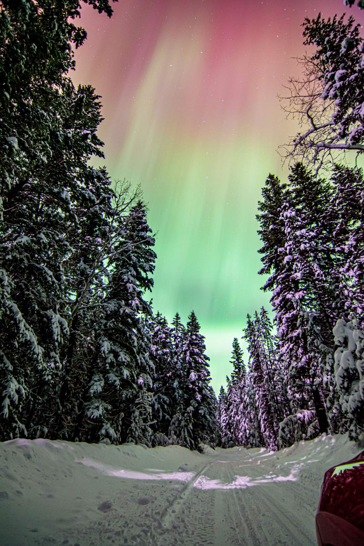 The northern lights seen from between 108 Mile House and Lac La Hache.