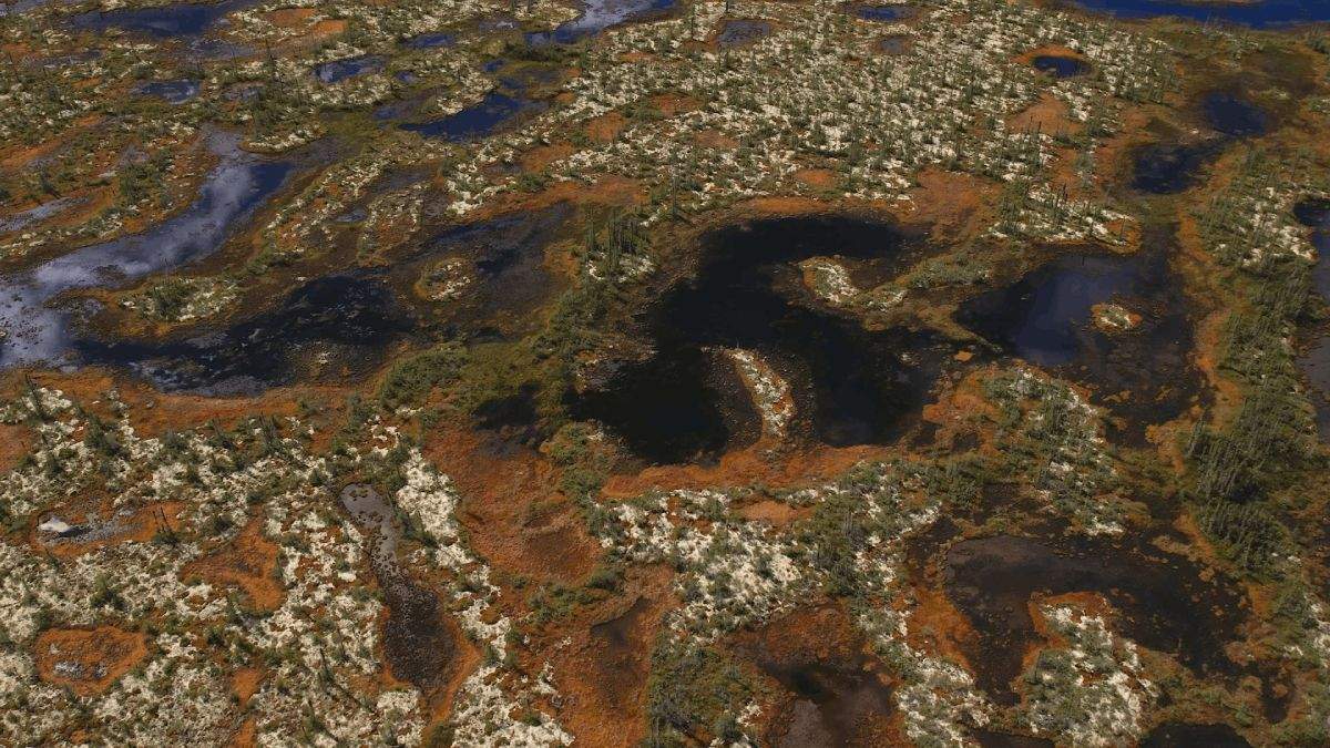 The Hudson Bay Lowland peatlands are a "global treasure," says peatland scientists Lorna Harris.