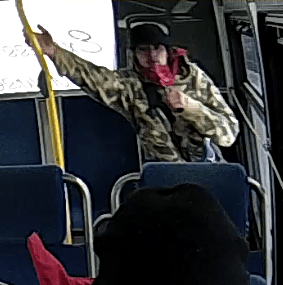 Kingston Police have released a series of pictures of people of interest and/or witnesses to a violent assault at a Kingston bus shelter.