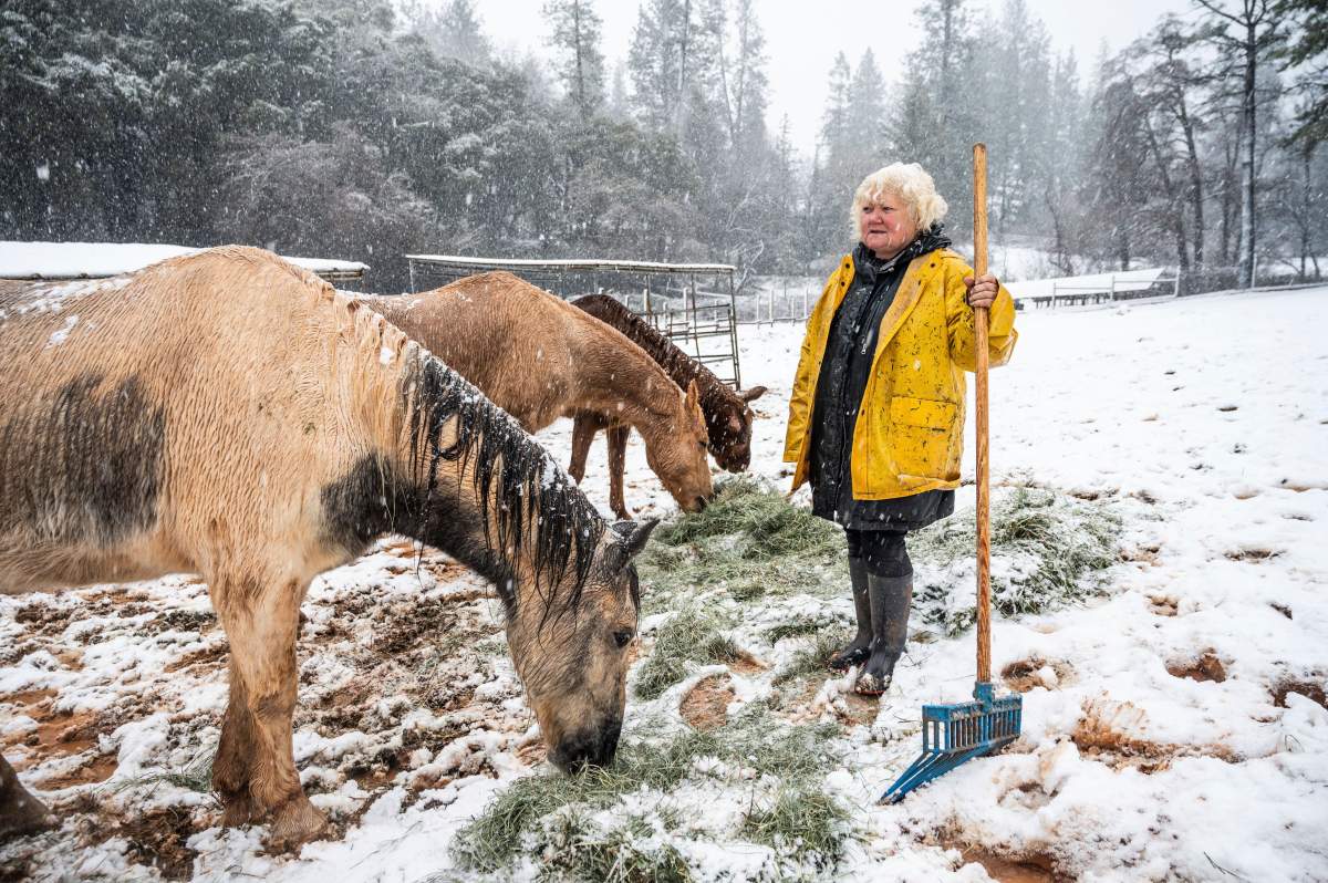 A woman attends to her horses amid a snow storm in southern California.,